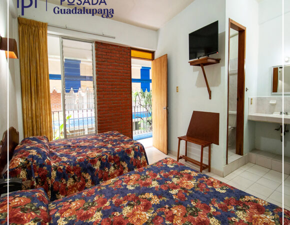 Posada Guadalupana