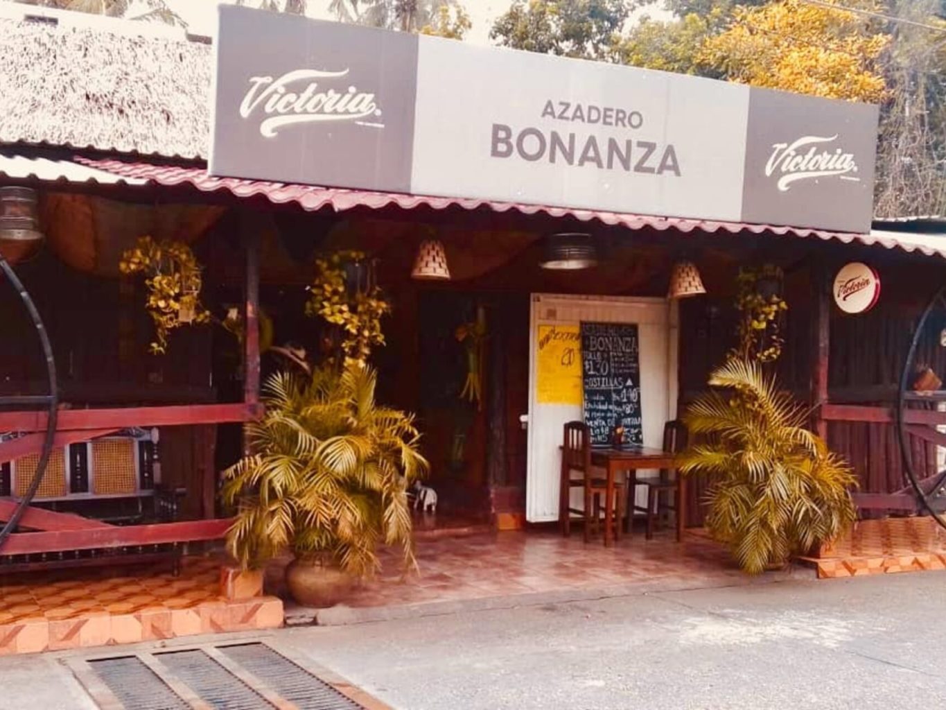 bonanza1-1